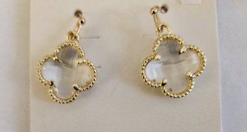 Transparent and Gold Earrings 